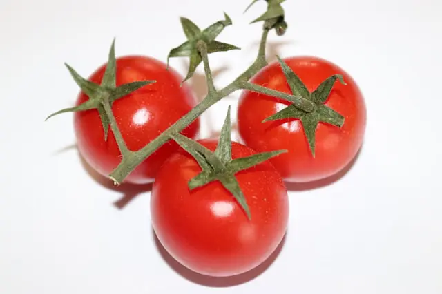 Semences de Tomate Heinz 1350 (Solanum lycopersicum)