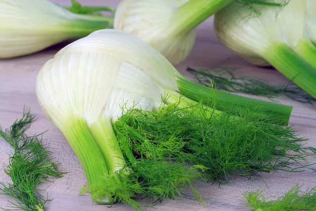 Graines de Fenouil de Florence – Plante Aromatique et Potagère
