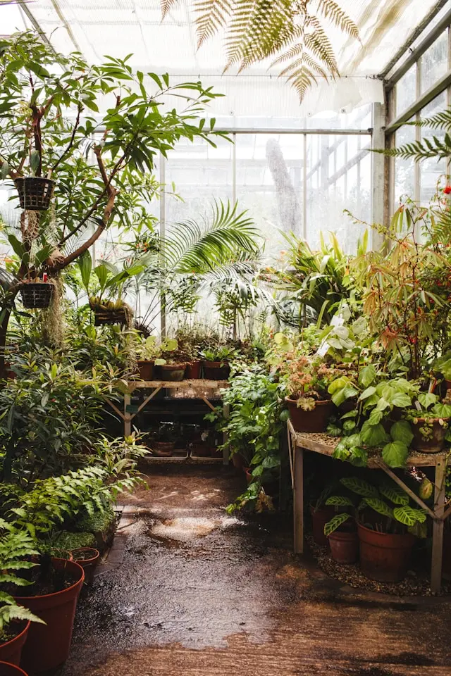 Les Serres Tunnel : Quel Modèle Choisir pour Votre Potager ?
