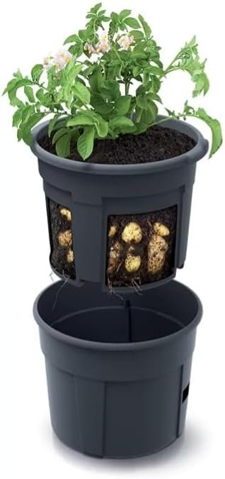 Pot a Pommes de Terre avec Trappe de Recolte
