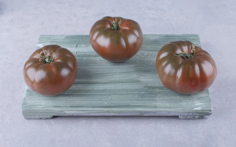Tomate Noire de Crimée : Une Variété Ancienne au Goût Exceptionnel