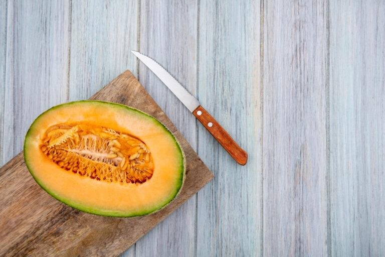 Melon : Origine, bienfaits, variétés et culture selon votre région